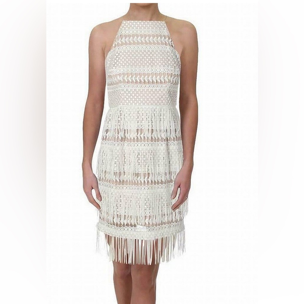 Crochet High-Neck Sheath Dress with Fringe Aidan Mattox